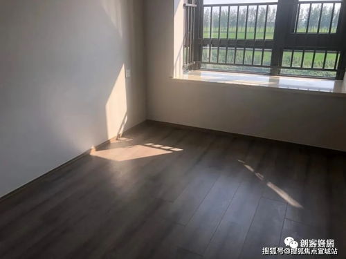 厦华最新动态揭秘，今日头条报道下的新发展