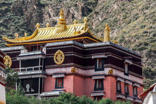 隐龙山，秘境探索之旅，自然美景尽收眼底