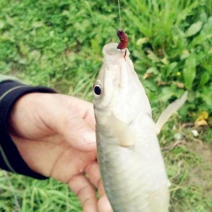 钓巨物TOP10榜单揭晓，垂钓巅峰之战大揭秘！
