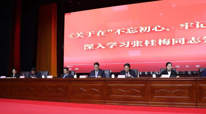 杨桂林新闻聚焦，时代先锋，深度解读热点