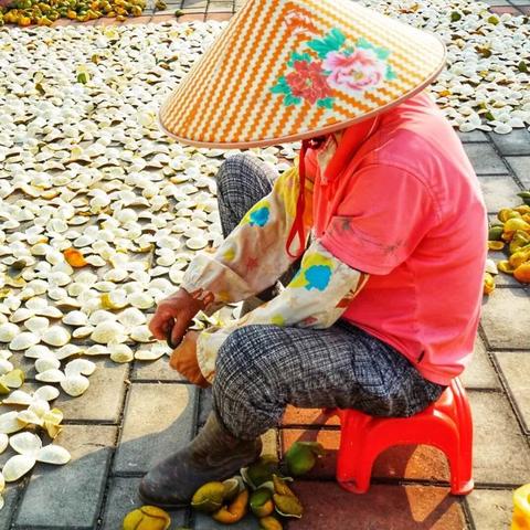 江門旅游攻略揭秘，探寻城市隐藏宝藏，畅游无限精彩！