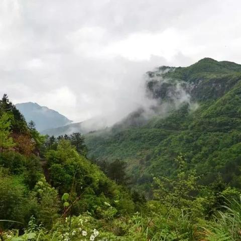 云南玉山，自然美景与文化底蕴的双重探索攻略