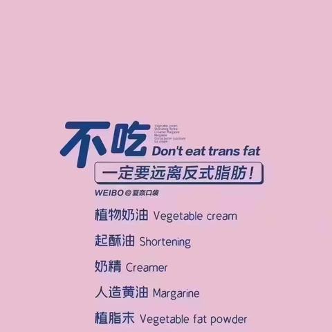 囊萤映雪 第2页