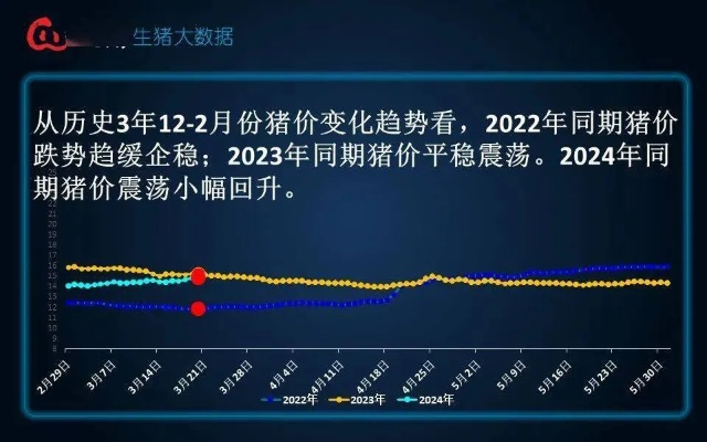 山口小猪价格走势深度解析，最新动态一网打尽