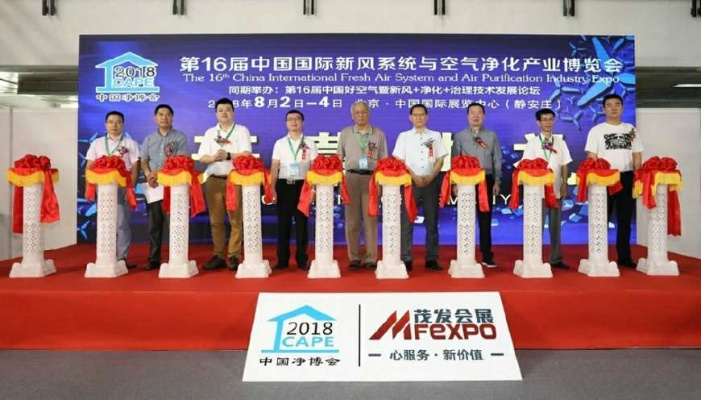 揭秘除甲醛公司权威排名榜，行业领军者引领健康家居新潮流！