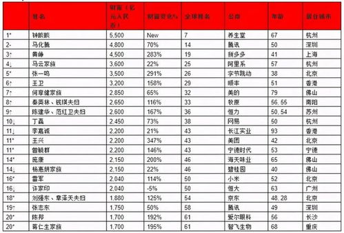 湛江各区富豪TOP10榜单揭秘，财富背后的传奇故事