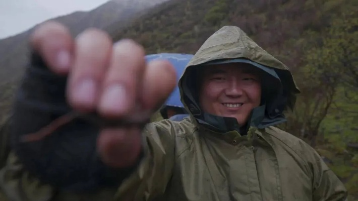 揭秘百度背后的神秘故事，探索虫草村落的探索之旅
