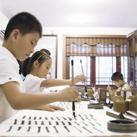 深圳自媒体聚焦新闻头条，传媒新势力揭秘城市脉搏