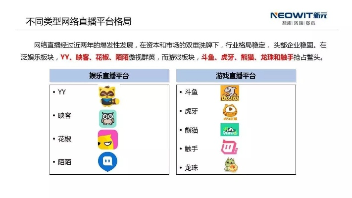 娱乐聊天主播公司排行榜揭晓，行业格局与趋势洞察