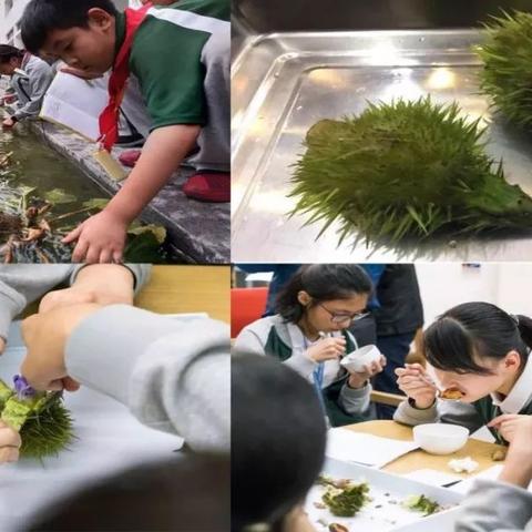 揭秘全球元素奥秘，世界常用元素排名榜单揭晓