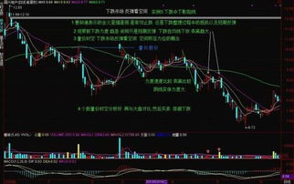 勉县今日鸡价行情大揭秘，最新走势分析与市场预测