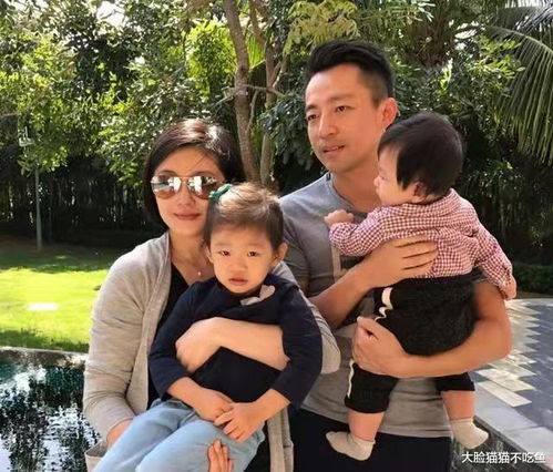 大S最新消息视频曝光，生活与工作动态全揭秘！