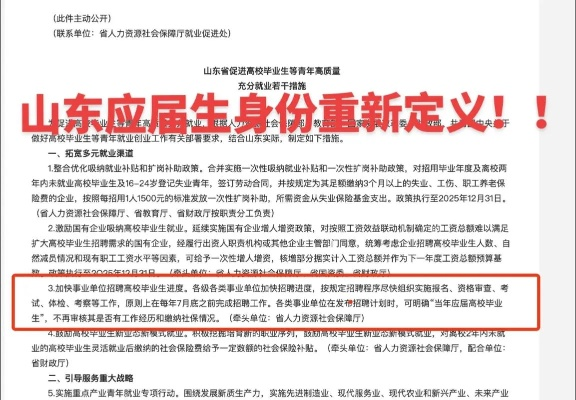 山东灵活就业新标准解读，全面解析最新条件！