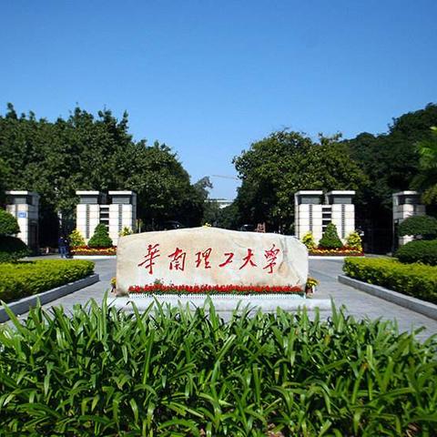 全球顶尖大学学科排名榜单揭晓，探寻世界学术殿堂的巅峰之选