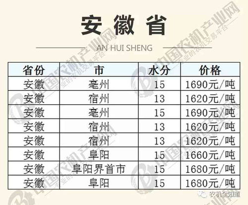 河南玉米今日行情解析，最新价格动态一网打尽！