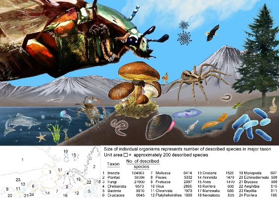 世界新增生物大揭秘，未知生命奇迹的排名探索