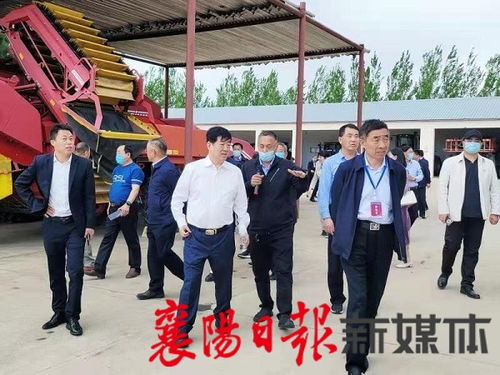 尧头新闻今日综述，最新消息全解析