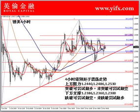 苏桥今日肉价最新动态，市场走势及消费者关注热点解析