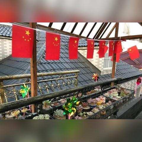 风车节旅游全攻略，畅游盛宴，尽享美好时光！