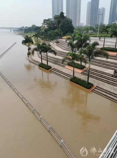 佛山最新涨水情况关注，水位变化与保障城市安全同步更新