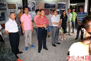 茶陵市最新发展动态及热点解析，城市进步报道头条