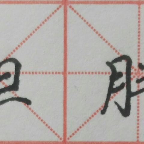 揭秘禾字正确写法，领略汉字之美，一笔一划随百度掌握