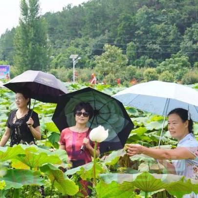 探索未知旅行世界，首选旅游攻略网站，带你畅游天下！
