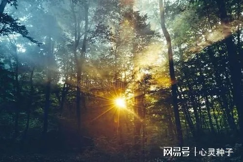 探索生命奥秘，人生意义的深度解读
