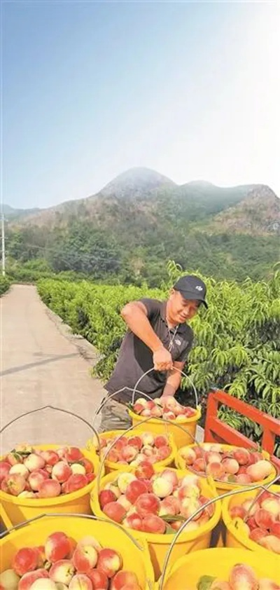 灌阳果园新动态速递，见证发展繁荣，探索果园最新资讯