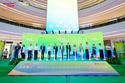 长丰县最新新闻头条，地方发展与民生改善的新篇章探索