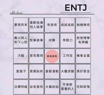 ENTJ专属旅游攻略，规划你的极致旅行体验