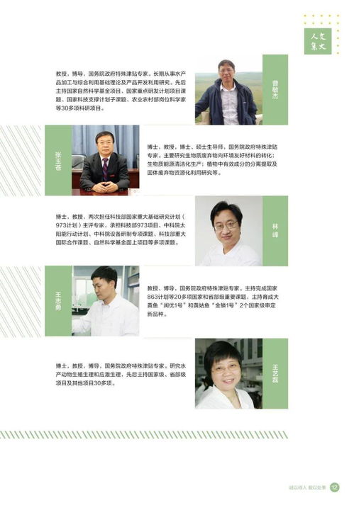威海公园云梯游玩攻略，最新指南来啦！