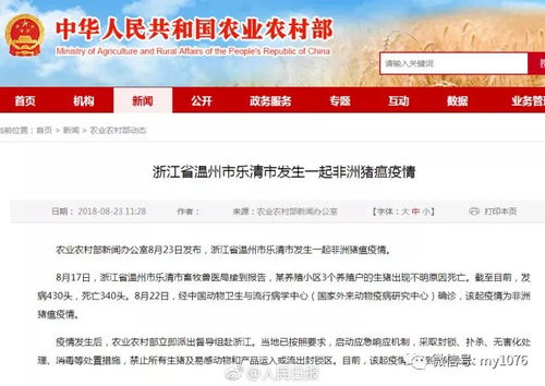 福建福州时事热点新闻头条速览