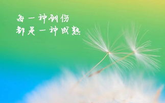 励志早安语录，开启美好一天的正能量！