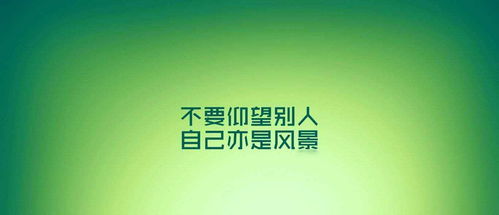 超燃励志语录，解锁学习之道，激发无限激情！