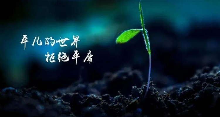 励志语录点亮生活瞬间，平凡中的不平凡力量