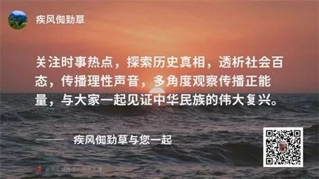 普宁新闻热点揭秘，裸背后的真相深度解读
