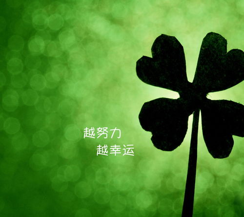服装老板励志语录，奋斗背后的成功故事启示