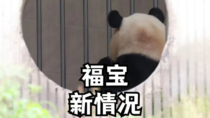 目不转睛