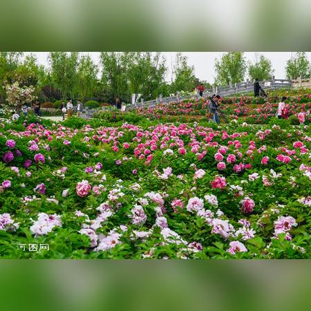 独家揭秘，北京旅游攻略宝典，探索千年古都的热门指南——火爆贴吧社区分享