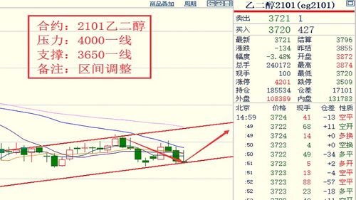 盐池玉米最新价格走势，市场分析揭秘，未来行情预测！