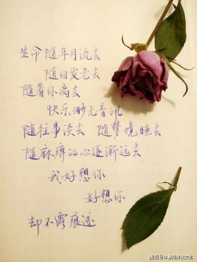 情感力量，励志文案中的温暖与感情语录分享