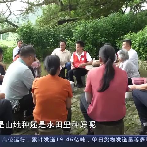 今日天晴新闻全景，最新报道与图片总览