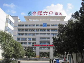 昆明民办中学排名TOP10，教育质量、特色及未来展望全解析