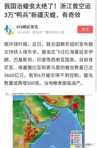 全球疫情与蝗虫危机，共同应对的双重挑战最新消息