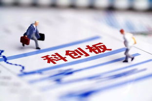 旺甫新闻聚焦，地方发展脉搏揭秘