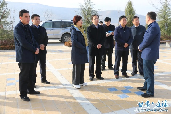 庄浪卧龙新闻聚焦，揭示地方发展前沿动态
