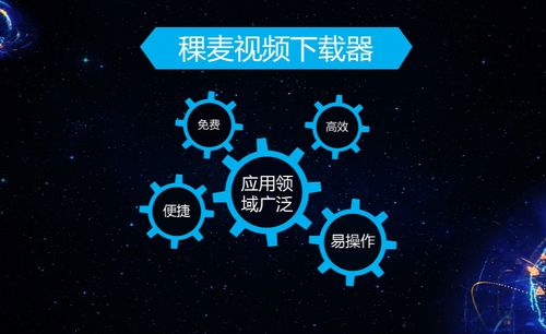 双人转场视频素材免费下载，轻松打造高质量视频作品！