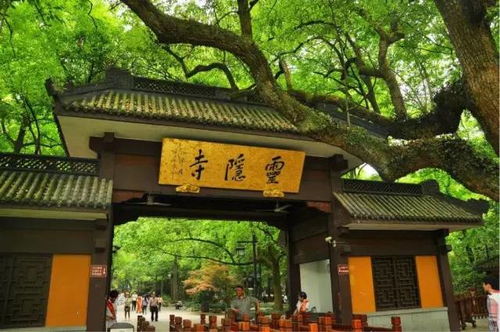 温灵隐寺游玩攻略大全，探访古刹秘境，体验最新风情！