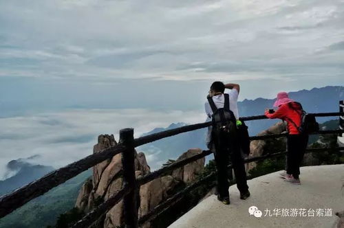 九华云海最新动态揭秘，令人惊叹的自然奇观新闻